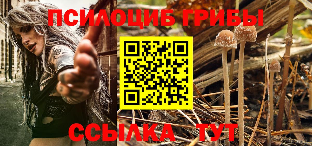 Псилоцибиновые грибы мицелий Зеленокумск